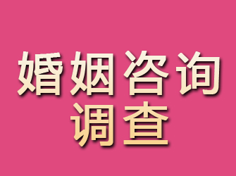 农安婚姻咨询调查